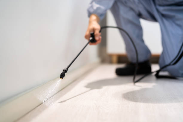 Licensed Termite Control service in Lee County County, MS - Nex Pest Control