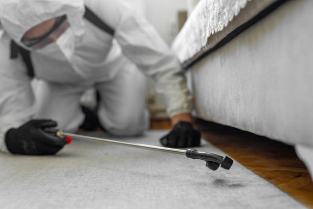 Professional Termite Control technician working in Lee County County, MS
